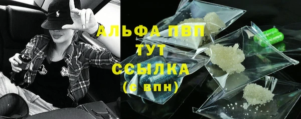PSILOCYBIN Навашино