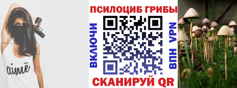 Псилоцибиновые грибы мицелий  Купить  Волгоград 